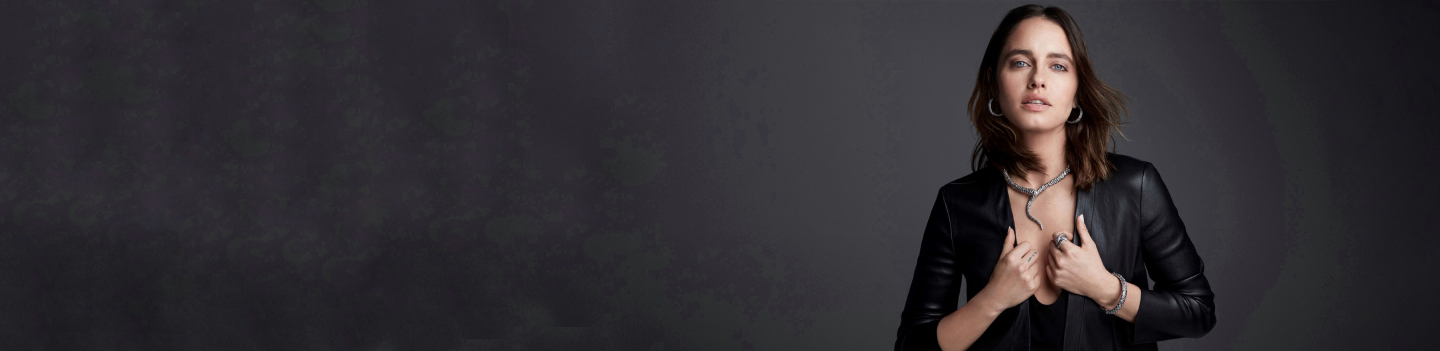 catalog